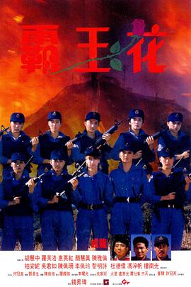 霸王花1988 霸王花1988